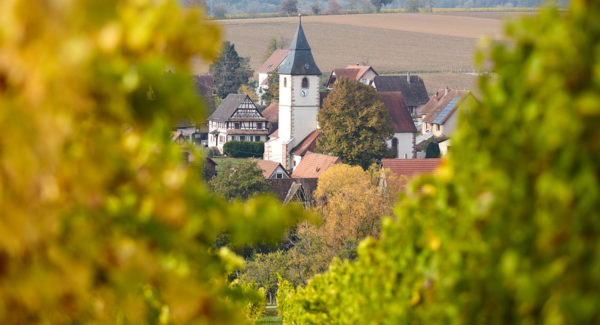 Eselsforch de Rott - Vin et Crémant d'Alsace - Cleebourg
